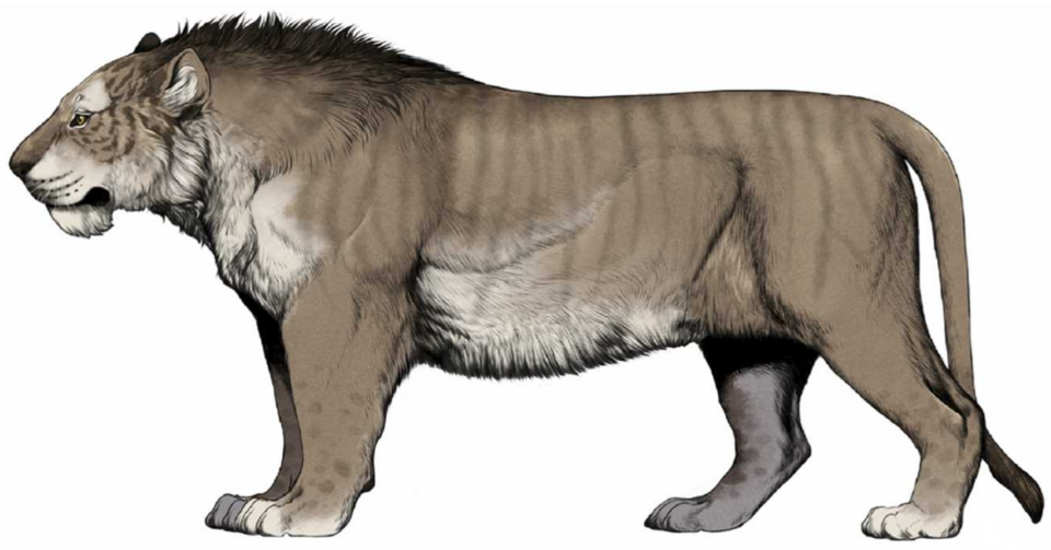 Mosbacher Löwe
